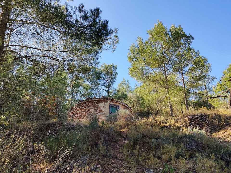 Plot of land for sale in Mora D'ebre, Tarragona province € 28,000